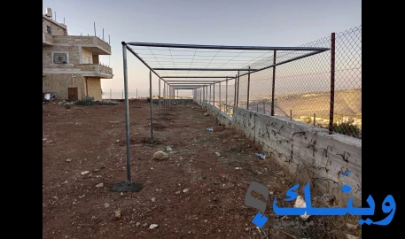 ابو مرسي الشيخ درة